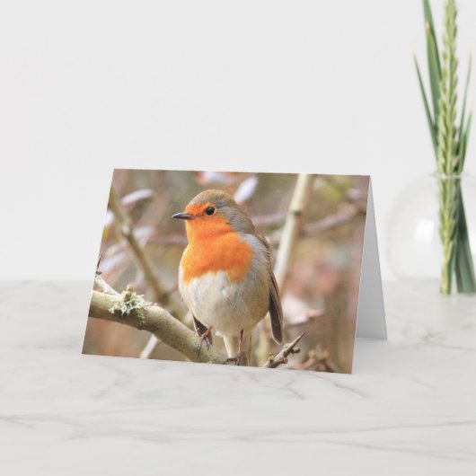 Winter Robin Redbormam Kaart (Voorkant)