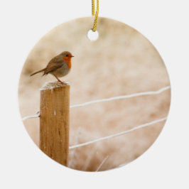 Winter Robin Redbormam Keramisch Ornament