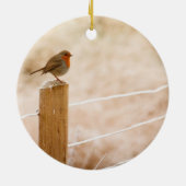 Winter Robin Redbormam Keramisch Ornament (Achterkant)