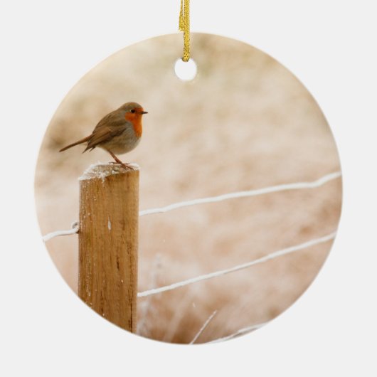Winter Robin Redbormam Keramisch Ornament (Achterkant)
