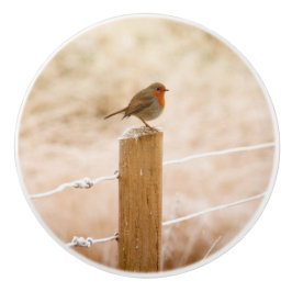 Winter Robin Redbormam Keramische Knop