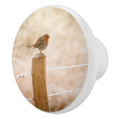 Winter Robin Redbormam Keramische Knop (Rechts)