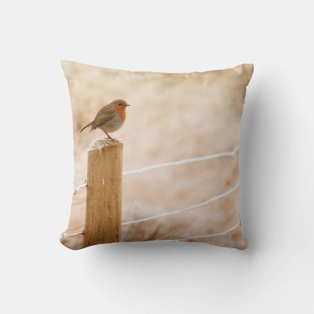 Winter Robin Redbormam Kussen (Voorkant)