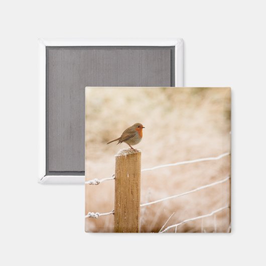 Winter Robin Redbormam Magneet (Voorkant / Achterkant)