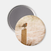 Winter Robin Redbormam Magneet (Voorkant / Achterkant)