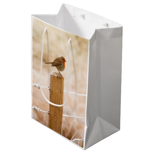 Winter Robin Redbormam Medium Cadeauzakje (Voorkant Gekanteld)