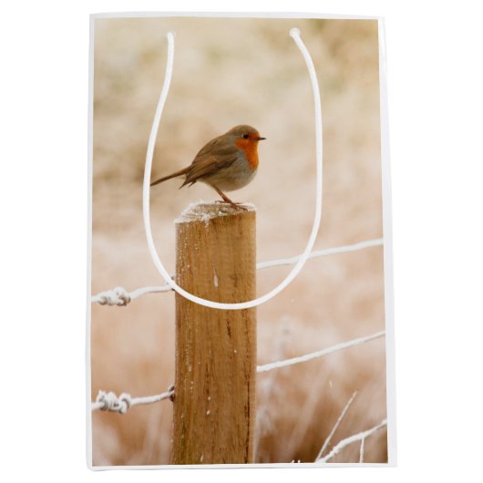 Winter Robin Redbormam Medium Cadeauzakje (Voorkant)