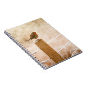 Winter Robin Redbormam Notitieboek (Rechterzijde)