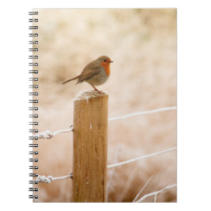 Winter Robin Redbormam Notitieboek