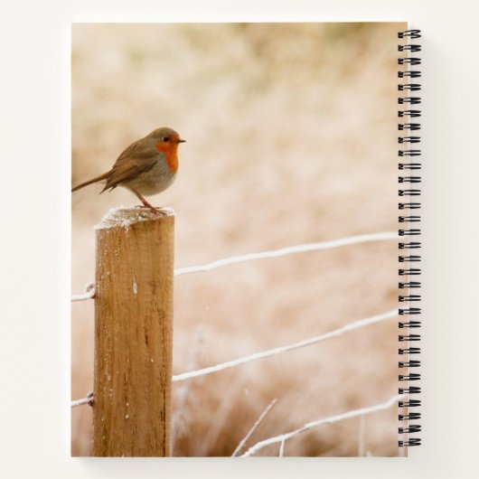 Winter Robin Redbormam Notitieboek (Achterkant)