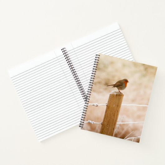 Winter Robin Redbormam Notitieboek (Binnen)