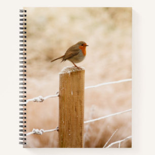 Winter Robin Redbormam Notitieboek