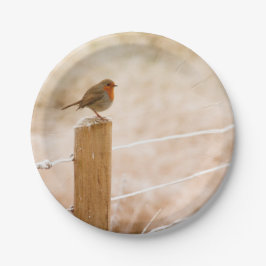 Winter Robin Redbormam Papieren Bordje