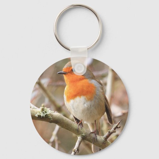 Winter Robin Redbormam Sleutelhanger (Voorkant)