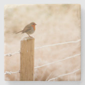 Winter Robin Redbormam Stenen Onderzetter (Voorkant)