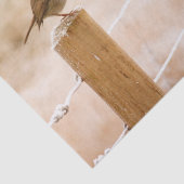 Winter Robin Redbormam Tissuepapier (Detail)