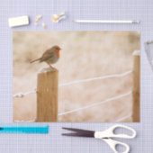 Winter Robin Redbormam Tissuepapier (Craft)