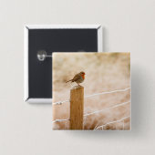 Winter Robin Redbormam Vierkante Button 5,1 Cm (Voorkant /achterkant)