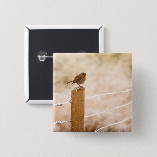 Winter Robin Redbormam Vierkante Button 5,1 Cm (Voorkant /achterkant)