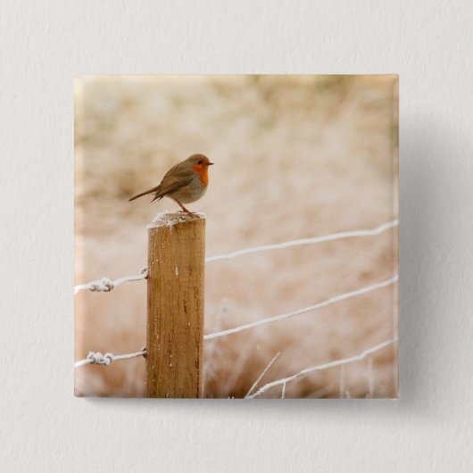 Winter Robin Redbormam Vierkante Button 5,1 Cm (Voorkant)