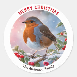 Winter Robin Redbreast Feestelijk Vrolijk Kerstfee Ronde Sticker