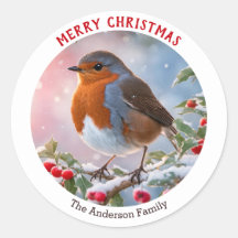 Winter Robin Roodborstfeestelijke Kerstmis