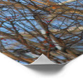 Winter Robins Snowy Nest Poster (Hoek)