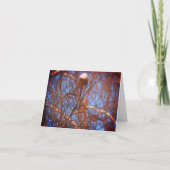 Winter Robins Wildlife Natuur Note Kaart (Voorkant)