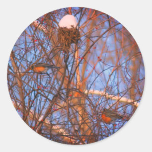 Winter Robins Wildlife Natuur Ronde Sticker