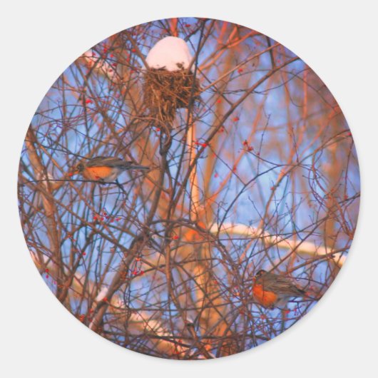 Winter Robins Wildlife Natuur Ronde Sticker (Voorkant)