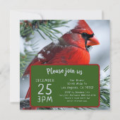 Winter Rode Kardinaal RIP Gedenkteken Kerstbruilof Save The Date (Achterkant)