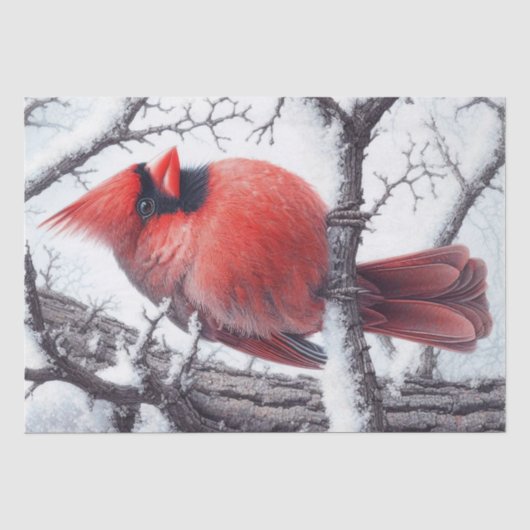Winter Rode Kardinaal Vogel Tissuepapier (Voorkant)