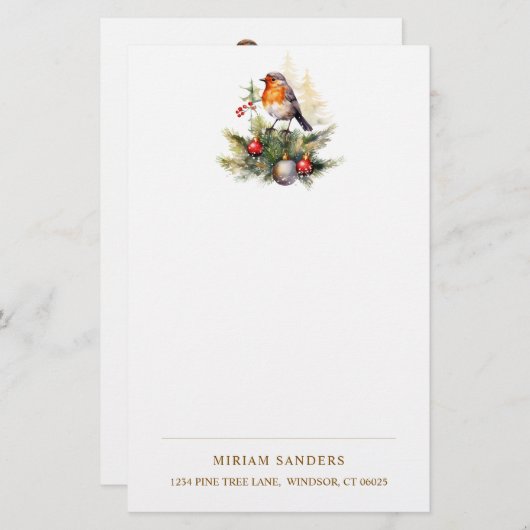 Winter Rode Roodborst Kerstmis  Briefpapier (Voorkant / Achterkant)