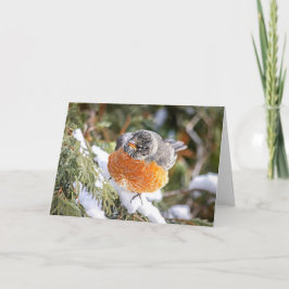 Winter Roodborst Kerstkaart Feestdagen Kaart