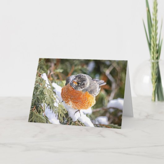 Winter Roodborst Kerstkaart Feestdagen Kaart (Voorkant)