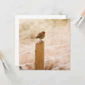 Winter Roodborstje Kaart (Voorkant / Achterkant in situ)