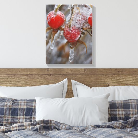 Winter Roos Hips Canvas Afdruk (Insitu (Slaapkamer))