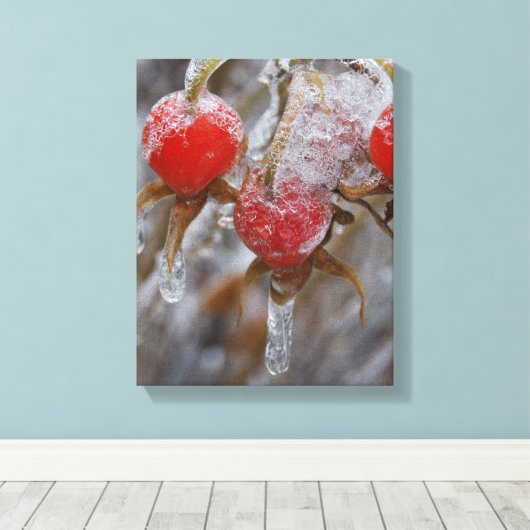 Winter Roos Hips Canvas Afdruk (Insitu (Houten vloer))