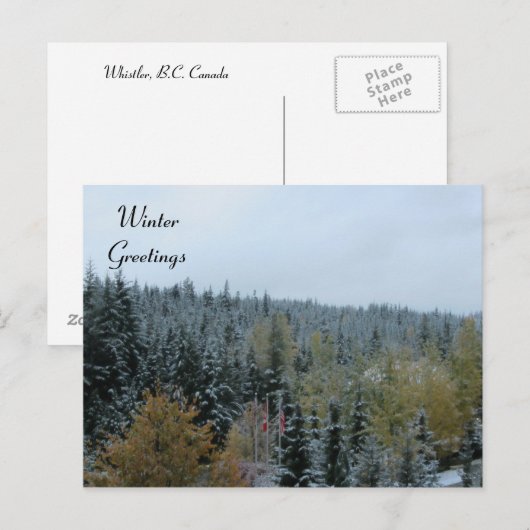 Winter Scene at Whistler, B.C. Briefkaart (Voorkant / Achterkant)