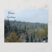 Winter Scene at Whistler, B.C. Briefkaart (Voorkant)