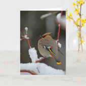 Winter Scene - Boheemse Waxwing Kaart (Gele Bloem)