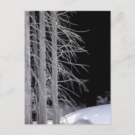 Winter Scene Briefkaart (Voorkant)