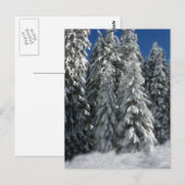 Winter Scene Briefkaart (Voorkant / Achterkant)