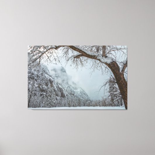 Winter Scene Canvas Afdruk (Voorkant)