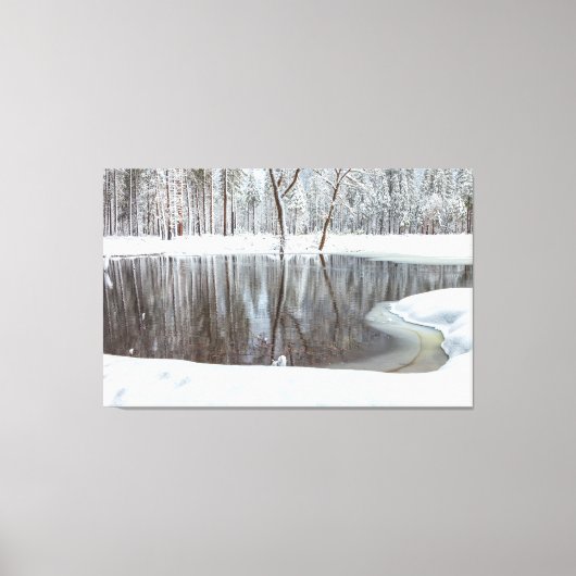 Winter Scene Canvas Afdruk (Voorkant)