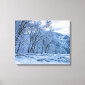 Winter Scene Canvas Afdruk (Voorkant)