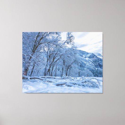 Winter Scene Canvas Afdruk (Voorkant)