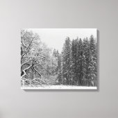 Winter Scene Canvas Afdruk (Voorkant)