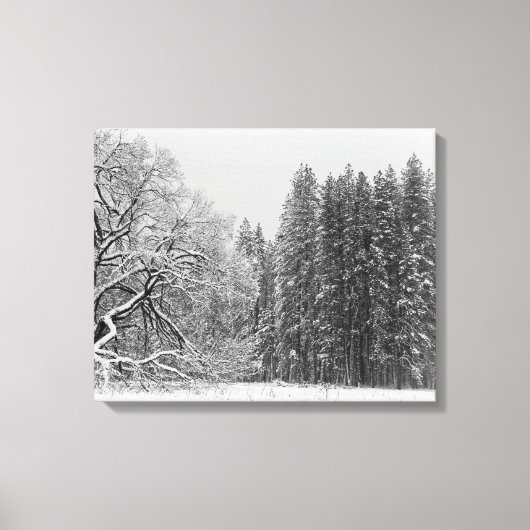 Winter Scene Canvas Afdruk (Voorkant)