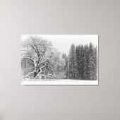 Winter Scene Canvas Afdruk (Voorkant)